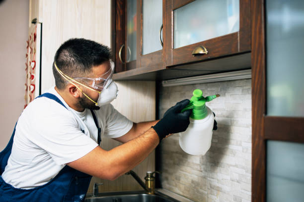 Best Pest Control Near Me  in Clemson University, SC