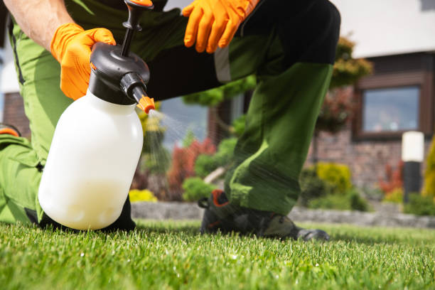 Best Pest Inspection Near Me  in Clemson University, SC